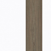 Белый / Вяз Благородный