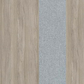 Дуб Аттик / Romeo 13