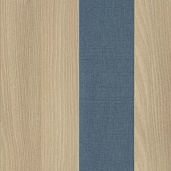 Акация Лорка / Romeo 10