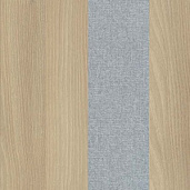 Акация Лорка / Romeo 13