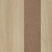 Акация Лорка / Romeo 03